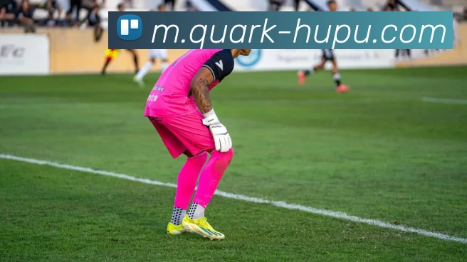 虎扑体育APP 高清赛事图